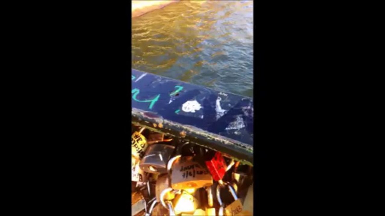 Camille Arman La Pyramide lu par JL Bresson 3 12 13