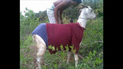 It Happens Only In India