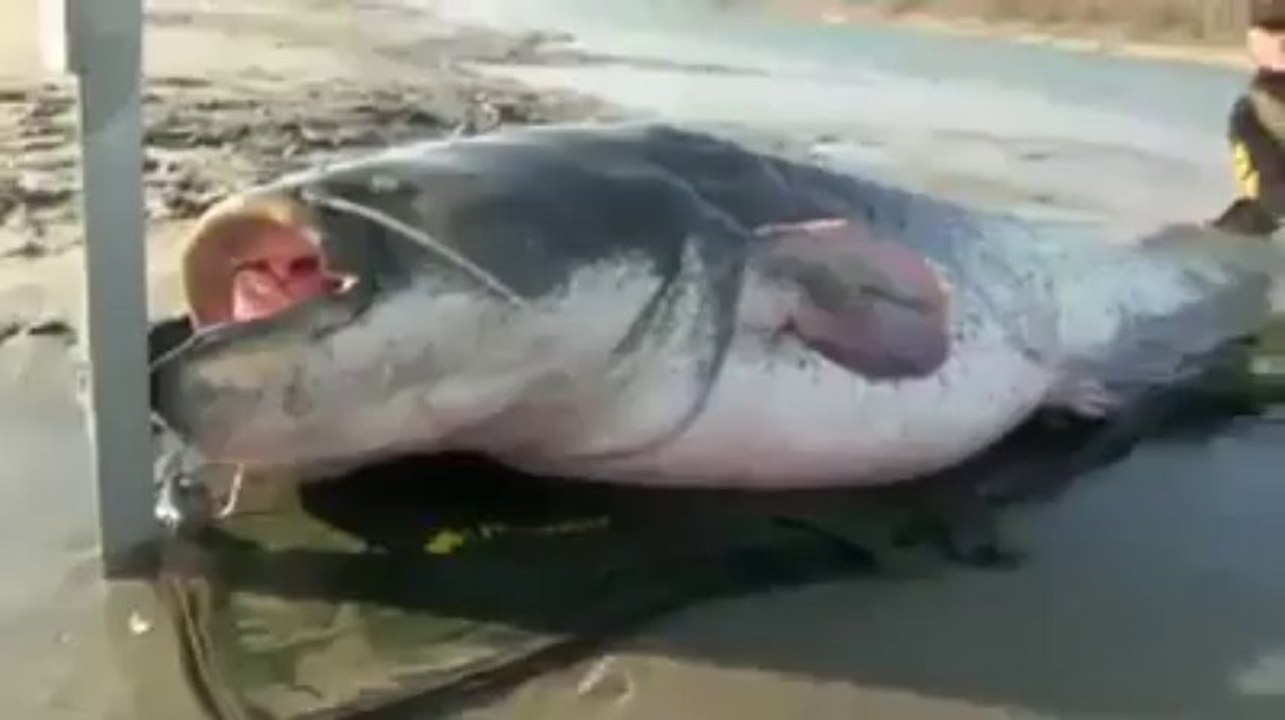 Fishing