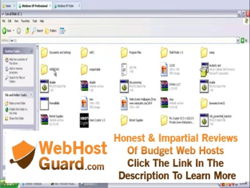 Setting up IRC server for botnet hosting