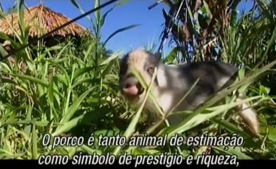 Odisseia Tribal Passagem Para A Idade Adulta - Tribal Odyssey Path to Manhood - RTP2