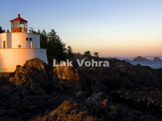Lak Vohra Sales Potential Forecast