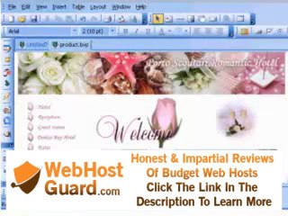 What is hosting | web hosting