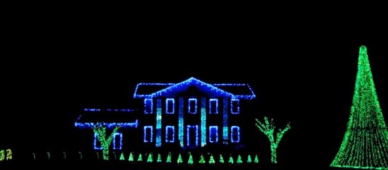 Carol of the Bells - Delaney Christmas 2010