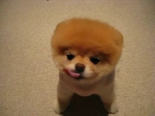 강원랜드카지노 ＭＡＫＥ４１５．ＣＯＭ 강원랜드카지노