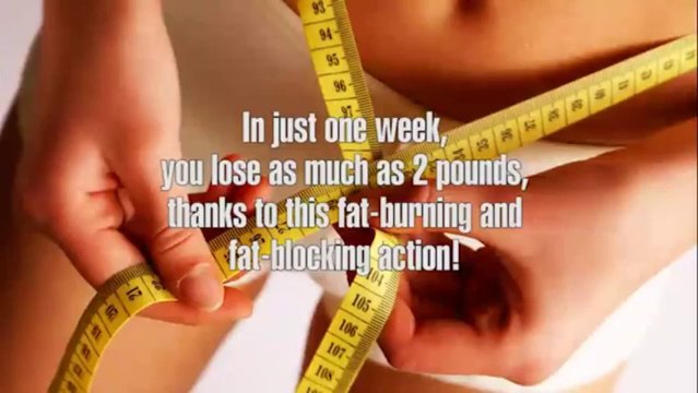 Proactol Reviews - Watch This Proactol Reviews and find out if it really works!