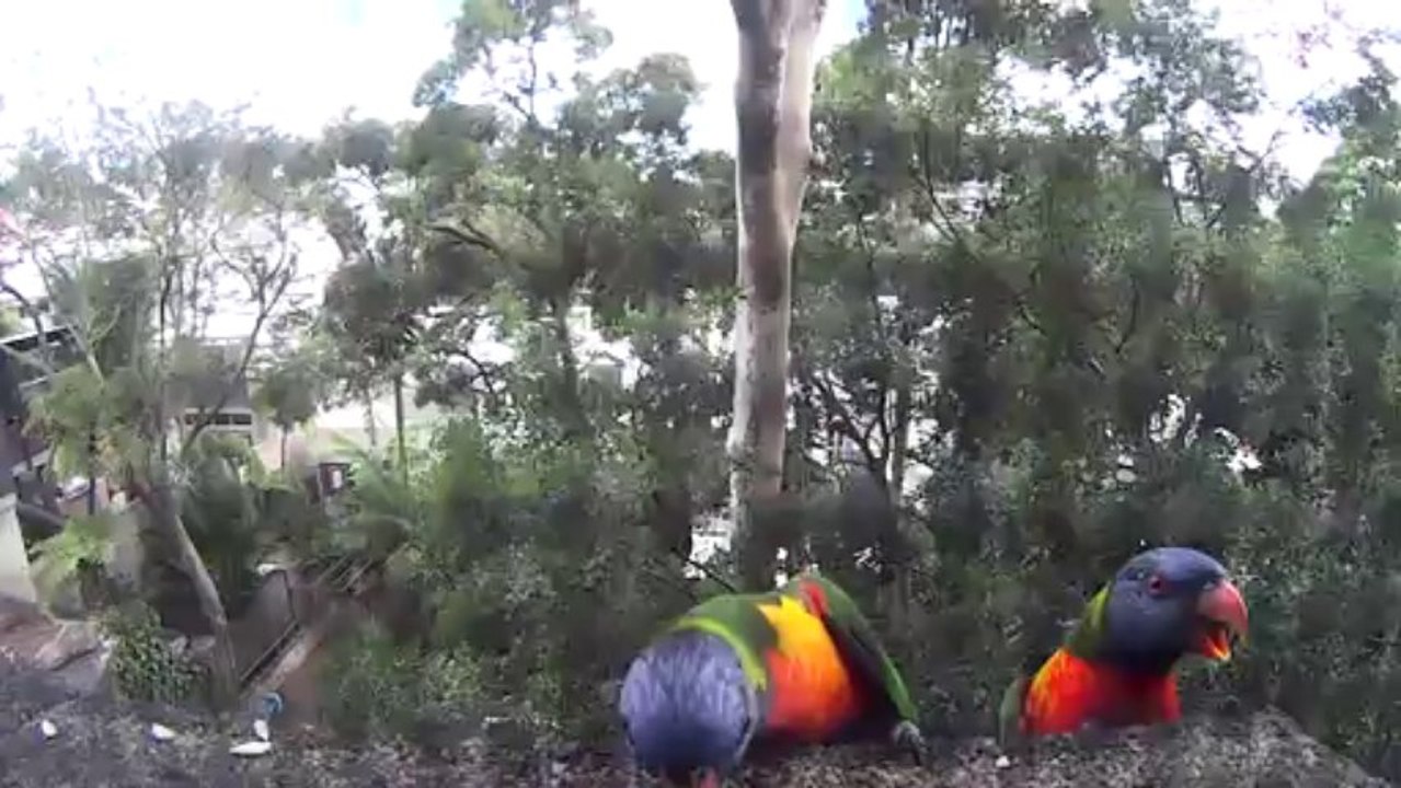 My lil' hungry friends