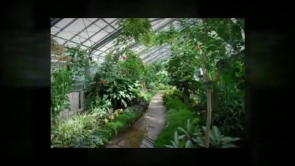 Skeeter's Tree Doctors (574) 339-9839