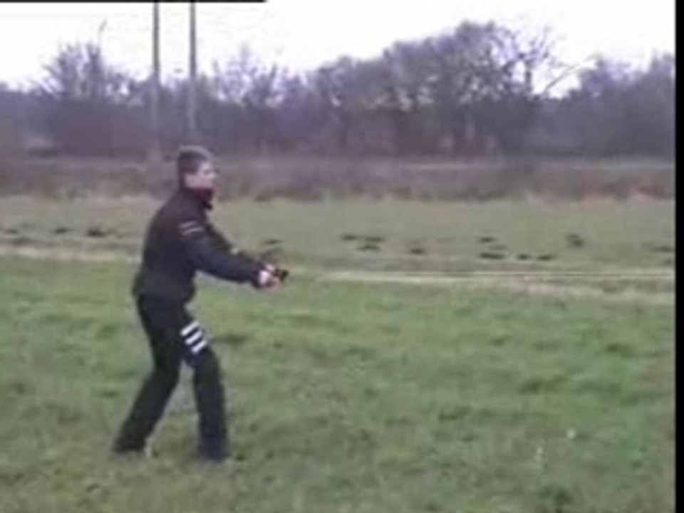 regis fait du cerf-volant