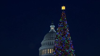 U.S. Capitol Christmas Tree lights up Washington