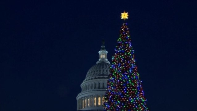 U.S. Capitol Christmas Tree lights up Washington