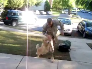 Dog Cries When Soldier Comes Home From Afghanistan By Hot Desi Video