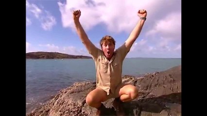 Steve Irwin Autotune - Melodysheep