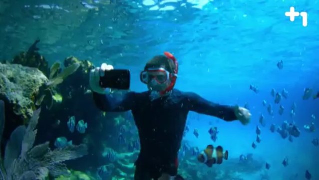 Kobe Bryant ve Lionel Messi THY reklamı