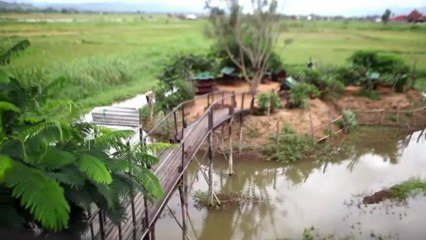 Transparency International releases new corruption survey