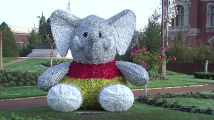 Un tigre du Bengale dérobé à Calais