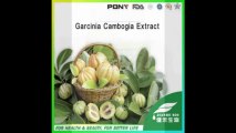Where to Buy Garcinia Cambogia