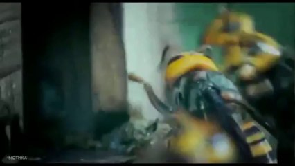 МОТИКА: 30.000 пчели се борат до смрт против 30 стршлени - убијци