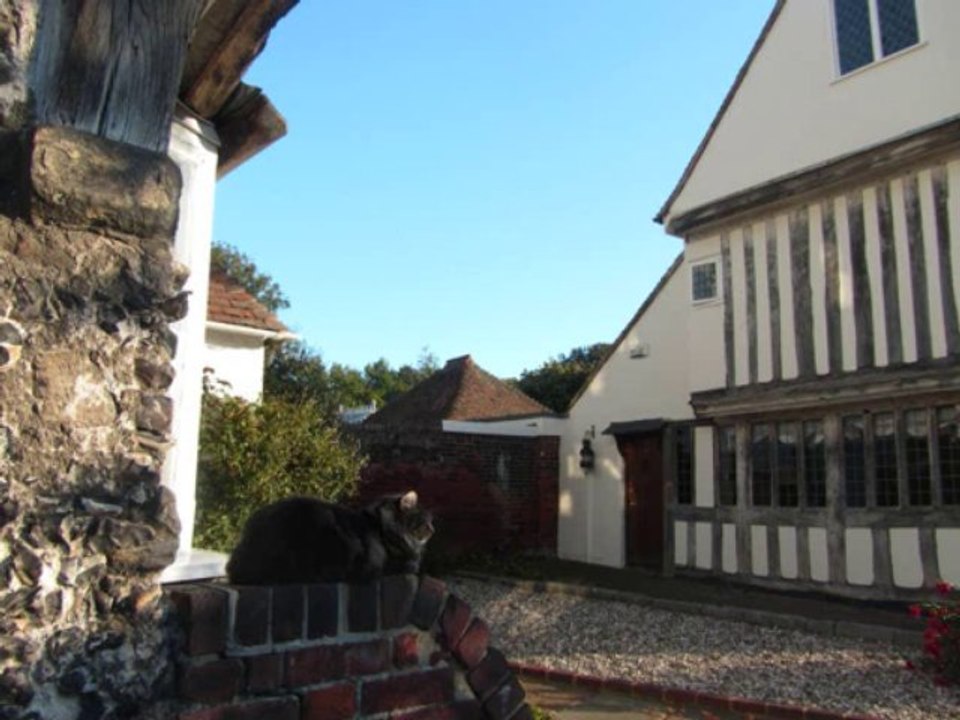 Packington's pound