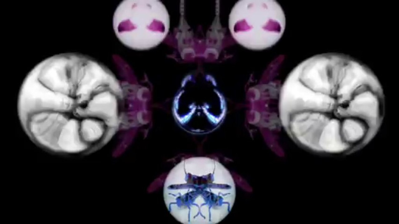 Max Cooper - Wasp (Traum)