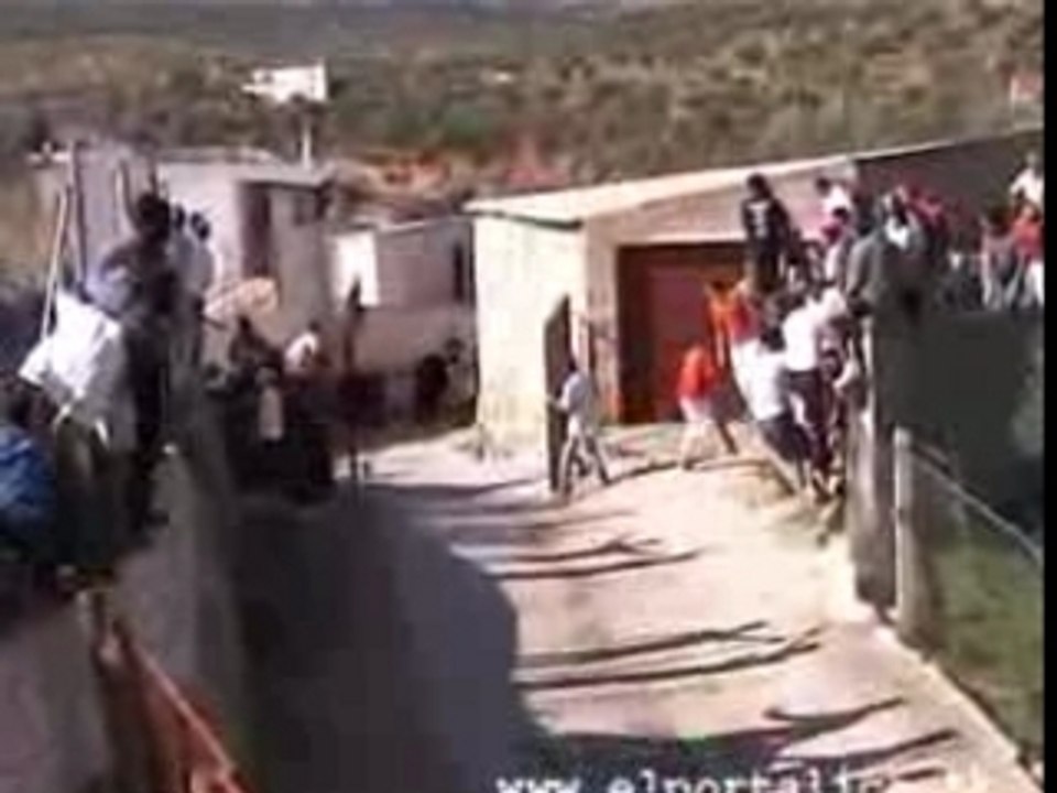 Encierro Elche de la Sierra