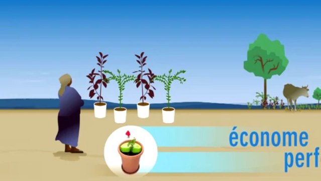 100 innovations pour un développement durable pour l'Afrique - Tunisie