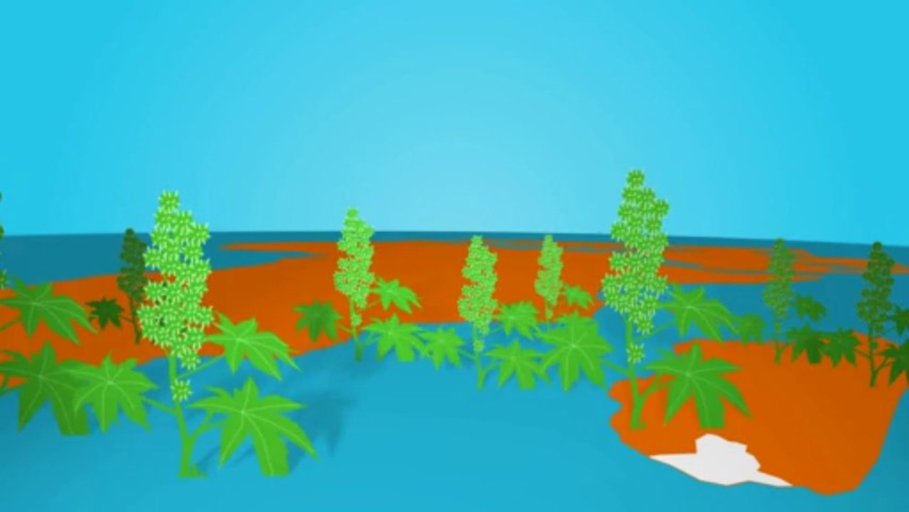 100 innovations pour un développement durable pour l'Afrique - Madagascar