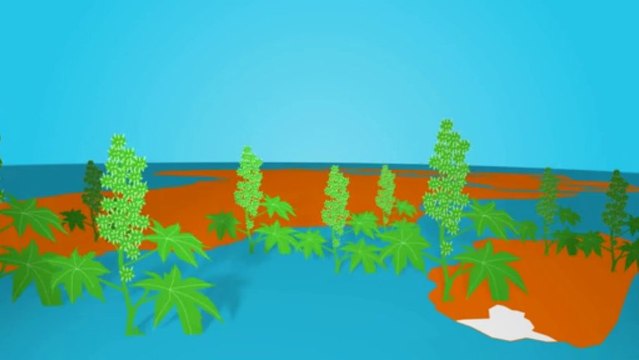 100 innovations pour un développement durable pour l'Afrique - Madagascar