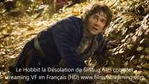 Le Hobbit 2 film complet voir online streaming VF HD entier en Français