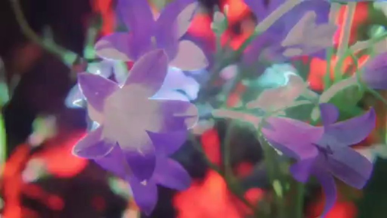 Dominik Eulberg - SANSULA (Traum 110)