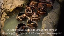 Le Hobbit 2 film complet voir online en entier HD Français et télécharger