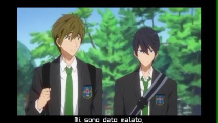 Provino Makoto - Free!