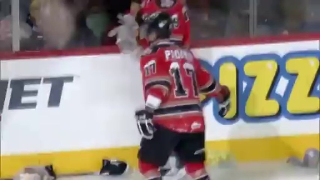 Eishockey: Plötzlich regnet's 26.000 Teddy-Bären