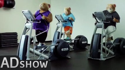 Hamsters make the world Gaga