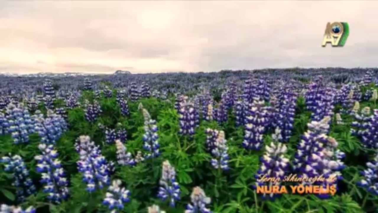 Serap Akıncıoğlu ile Nur'a Yöneliş - 30. Bölüm (Derin İman)