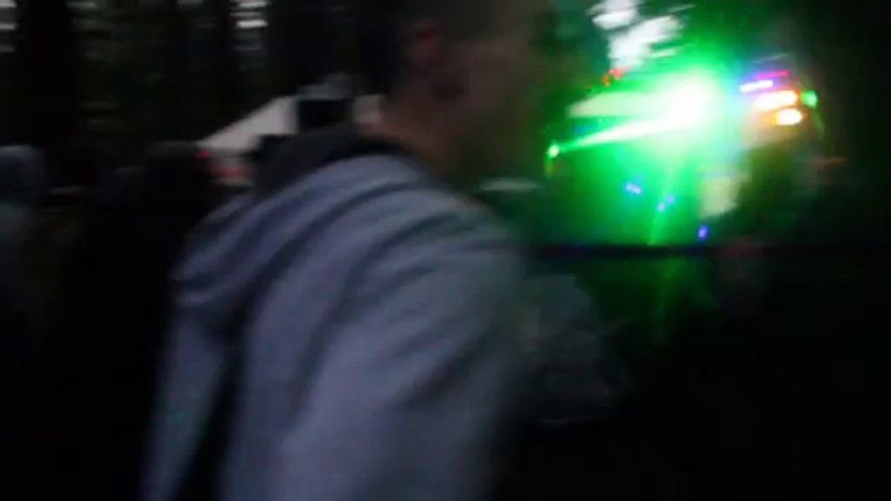 The hard forest  by 29 bpm