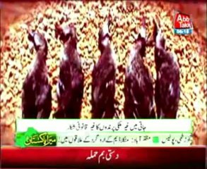 Jati Illegal hunting of exotic birds