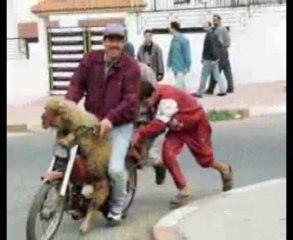 cela se passe chez nous (Algeria)