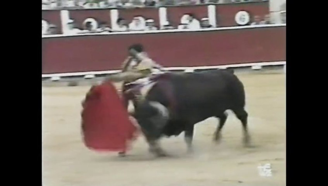 Roberto Dominguez en Albacete