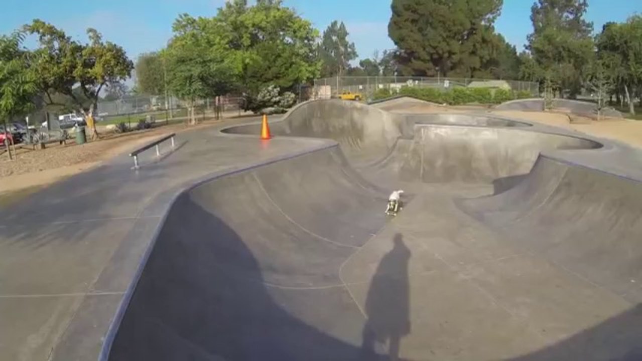 Pro Skate Boarding Dog - Funny Videos