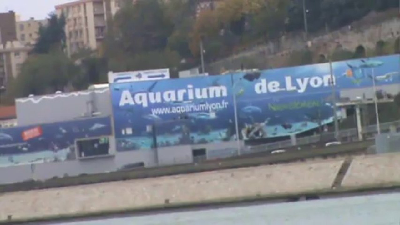 en  Vidéo  avec Denis  Etienne  Ville  LYON    FRANCE