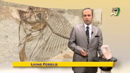 Creation Museum - Mene fish