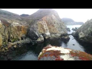 Google Glasses Marraige Proposal