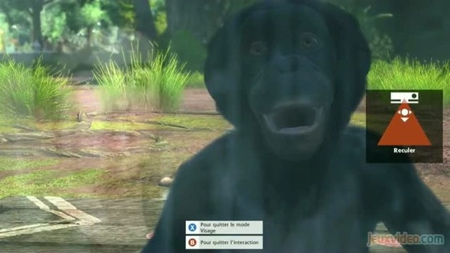 Gaming live Zoo Tycoon - Zoo Tycoon X Kinectimals (ONE)