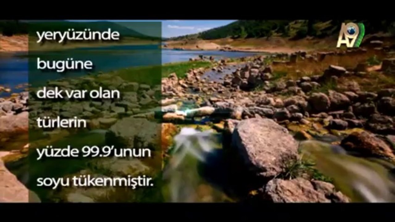 Bilim haberleri: Bilim literatürüne bir ara fosil aldatmacası daha eklendi!