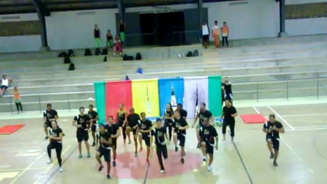 Apresentação de Trabalho - Metodologia da Ginastica Educação Física 2° Período