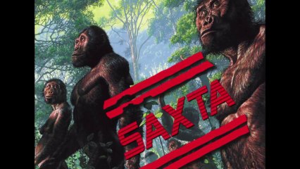 Təkamül nəzəriyyəsini çıxılmaz vəziyyətdə qoyan məsələ_ İki ayaq üstündə yerimə - 1