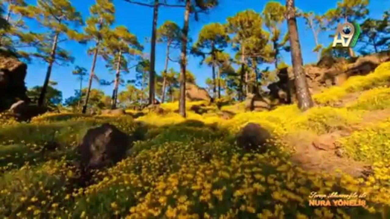 Serap Akıncıoğlu ile Nur'a Yöneliş - 24. Bölüm (Ramazan'ın manevi etkisi)