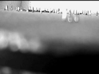 Paseo Lúdico a Destiempo