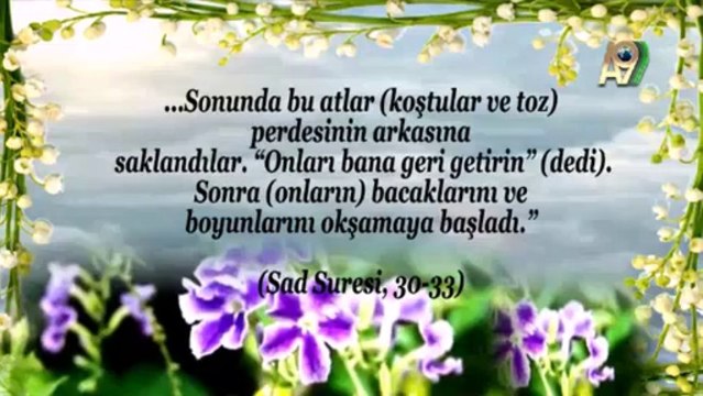 Güzellik Dini İslam - 5. Bölüm - İslam Sevgi Dinidir